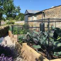 Read Garden Netting Reviews