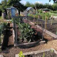 Read Garden Netting Reviews