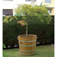 Lesen AE Trade Online GmbH & Co. KG Bewertungen