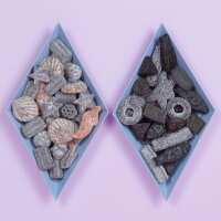 Lesen Dropje lekker Lakritz Bewertungen