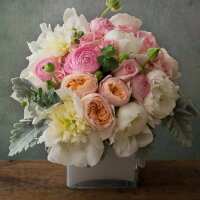 Read Jardin Floral Design Reviews