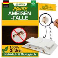 Lesen CuBeRo GmbH Bewertungen