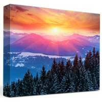 Read Canvas On The Cheap Reviews