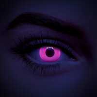 Read Coloured Contacts Reviews