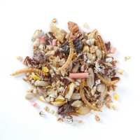 Read Wiggly Wigglers Reviews