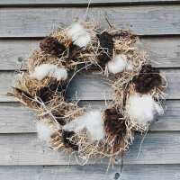 Read Wiggly Wigglers Reviews