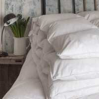 Read Beaumont & Brown Ltd Reviews