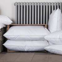 Read Beaumont & Brown Ltd Reviews