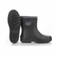 Read Backdoorshoes Reviews