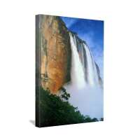 Read Canvas Print Factory Reviews