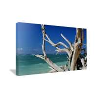 Read Canvas Print Factory Reviews