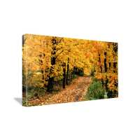 Read Canvas Print Factory Reviews