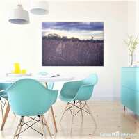 Read Canvas Print Factory Reviews