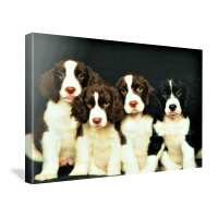 Read Canvas Print Factory Reviews