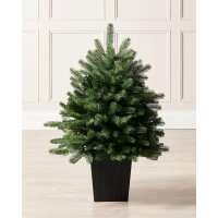Read WeRchristmas Reviews
