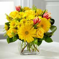 Read Ottawa Flowers Inc. Reviews