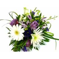 Read Ottawa Flowers Inc. Reviews