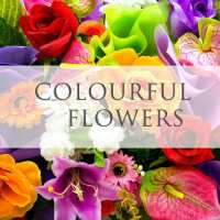 Read Ottawa Flowers Inc. Reviews