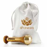 Read Shankara Reviews