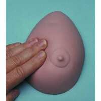 Read AnatomyStuff Reviews