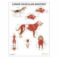 Read AnatomyStuff Reviews