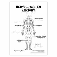 Read AnatomyStuff Reviews