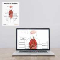 Read AnatomyStuff Reviews