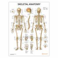 Read AnatomyStuff Reviews