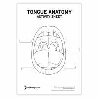 Read AnatomyStuff Reviews