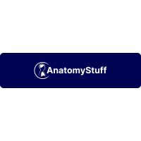 Read AnatomyStuff Reviews