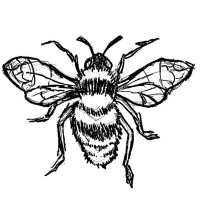 Read Get Stamped LTD Reviews