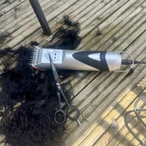 Masterclip Animal Clippers 5 star review on 14th May 2024