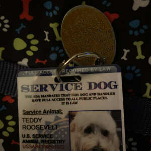 serviceanimalbadge-com 5 star review on 25th September 2020