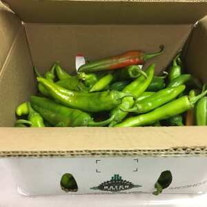 The Fresh Chile Company 5 star review on 23rd February 2021