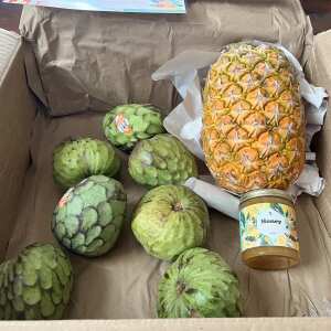 Tropical Fruit Box 5 star review on 15th May 2024
