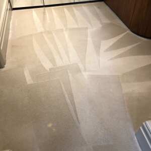 CarpetCleaningLondon.com 5 star review on 11th June 2020