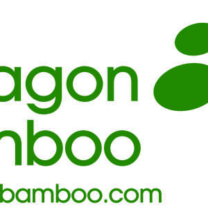 Paragon Bamboo 5 star review on 10th March 2020