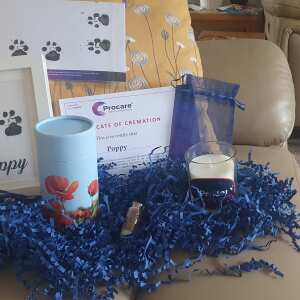 Procare Pet Cremations 5 star review on 24th May 2024