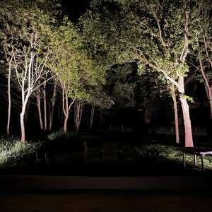 Lighting For Gardens Ltd 5 star review on 13th May 2024