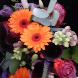 Haute Florist 5 star review on 31st May 2024