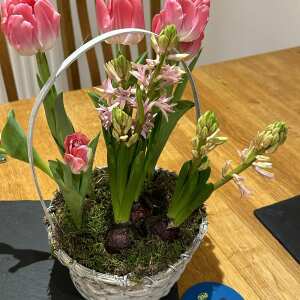 Prestige Flowers 5 star review on 29th March 2024