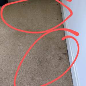 Perfect Cleaning 1 star review on 30th April 2022