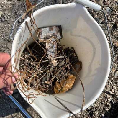 Review photo uploaded by Anonymous