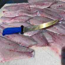 Cipsir Meat and Fish Fillet Knife - Curved salty Kuwait