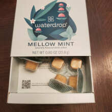 waterdrop adds Mellow Mint flavour to microtea collection - Tea