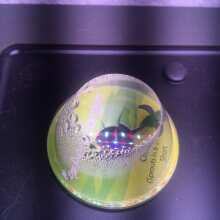 Review Image - Sweet Mix Auto Feminised Seeds - 10