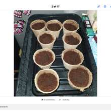 Image de révision - Caramel Kush Feminised Seeds - 5