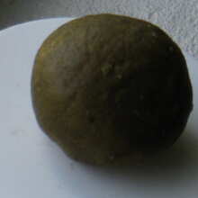 Überprüfen Sie das Bild - Louis XIII OG Feminised Seeds - 6