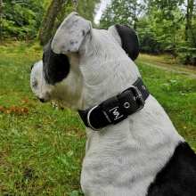 Review Image - Klassisches Hundehalsband mit abstehender Innenfütterung - Schwarz XS / 3cm