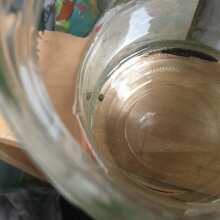 Image de révision - Compassion Lime CBD Auto Feminised Seeds